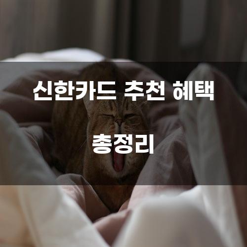 신한카드 추천 혜택 총정리