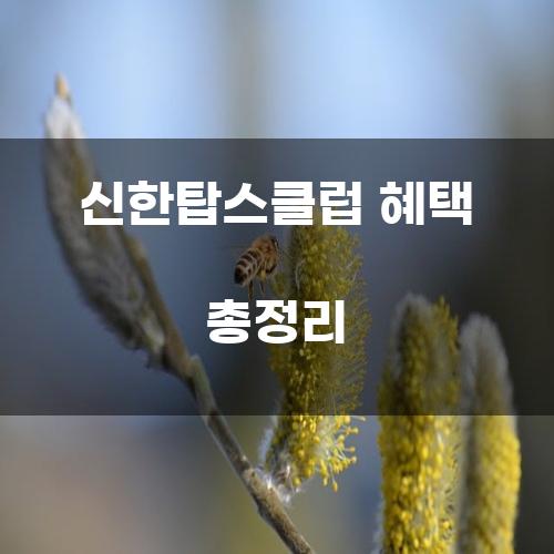 신한탑스클럽 혜택 총정리