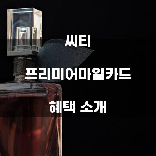 씨티 프리미어마일카드 혜택 소개