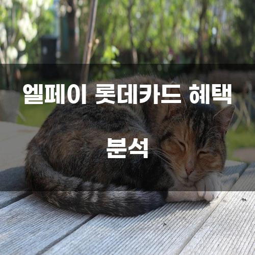 엘페이 롯데카드 혜택 분석