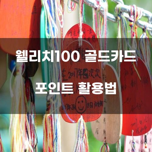 웰리치100 골드카드 포인트 활용법