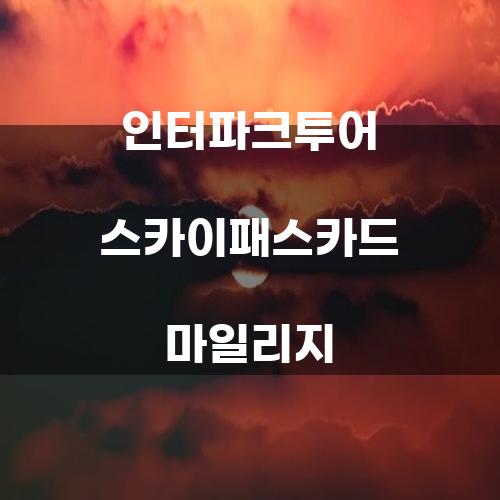 인터파크투어 스카이패스카드 마일리지