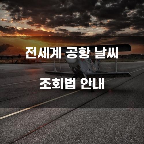 전세계 공항 날씨 조회법 안내