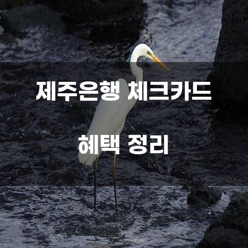 제주은행 체크카드 혜택 정리