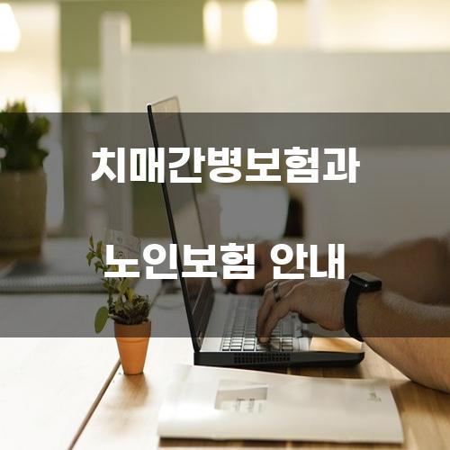 치매간병보험과 노인보험 안내