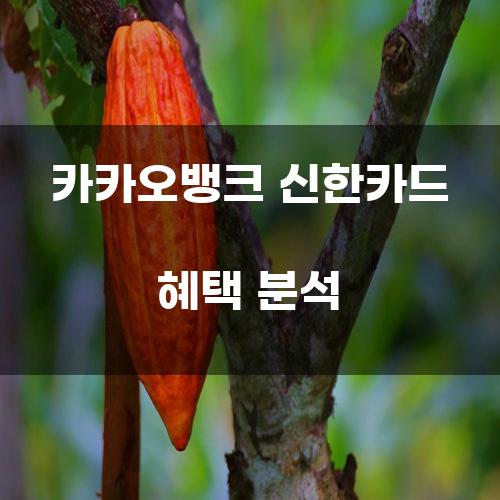 카카오뱅크 신한카드 혜택 분석