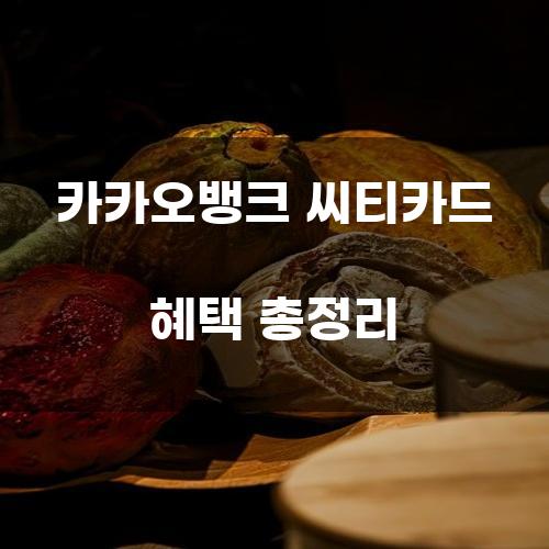 카카오뱅크 씨티카드 혜택 총정리