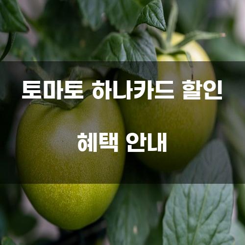 토마토 하나카드 할인 혜택 안내