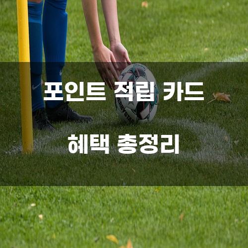 포인트 적립 카드 혜택 총정리