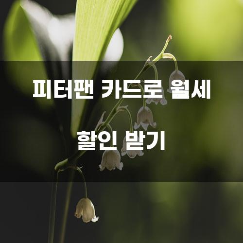 피터팬 카드로 월세 할인 받기