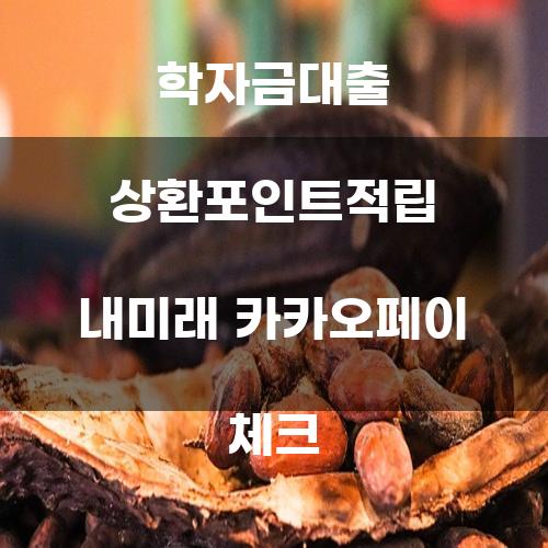 학자금대출 상환 포인트 적립 내 미래 카카오페이 체크