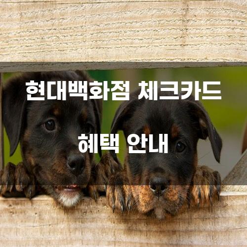 현대백화점 체크카드 혜택 안내