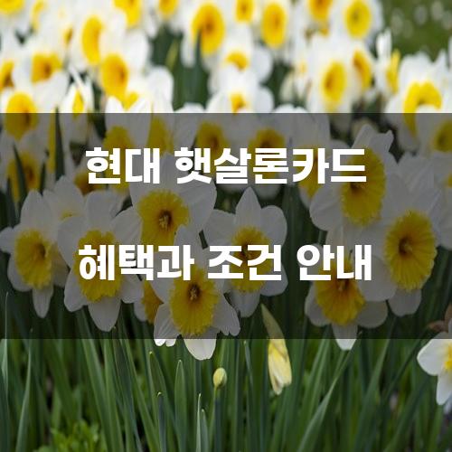 현대 햇살론카드 혜택과 조건 안내