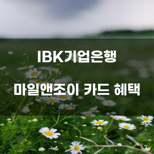 IBK기업은행 마일앤조이 카드 혜택