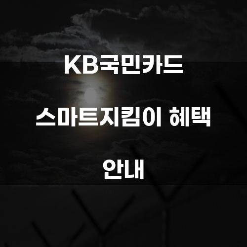 KB국민카드 스마트지킴이 혜택 안내