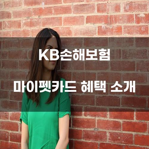 KB손해보험 마이펫카드 혜택 소개