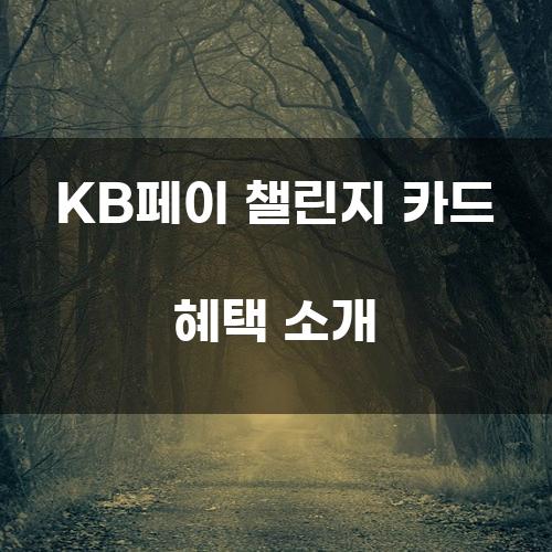 KB페이 챌린지 카드 혜택 소개