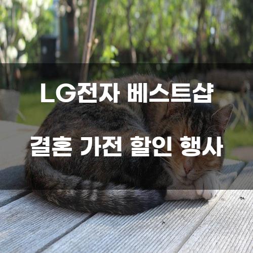 LG전자 베스트샵 결혼 가전 할인 행사