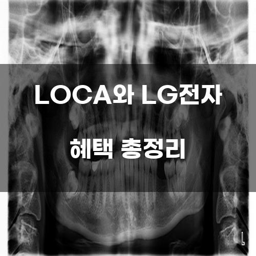 LOCA와 LG전자 혜택 총정리