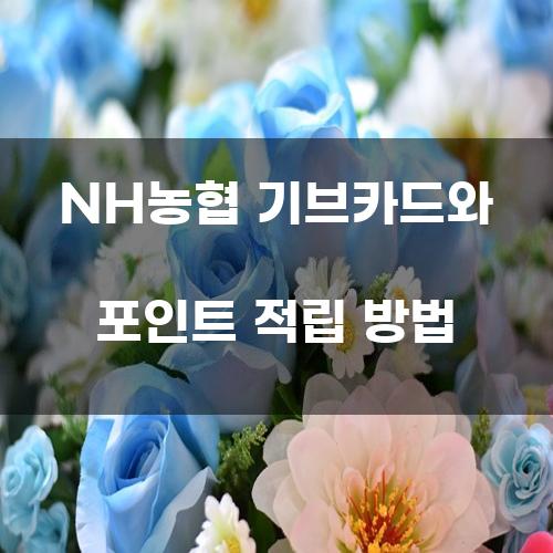 NH농협 기브카드와 포인트 적립 방법