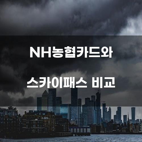 NH농협카드와 스카이패스 비교