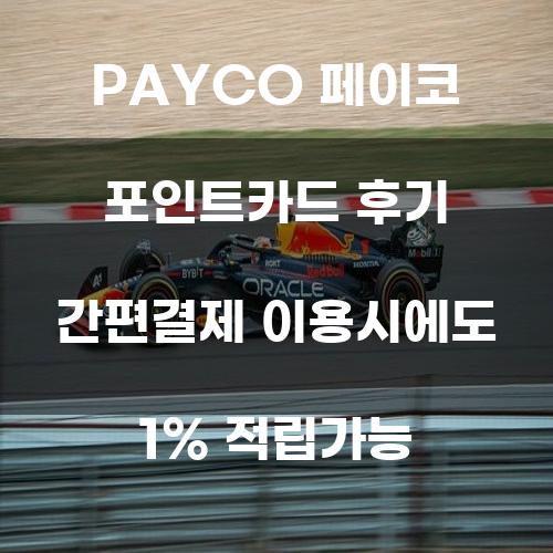 PAYCO 페이코 포인트카드 후기: 간편결제 이용 시에도 1% 적립 가능