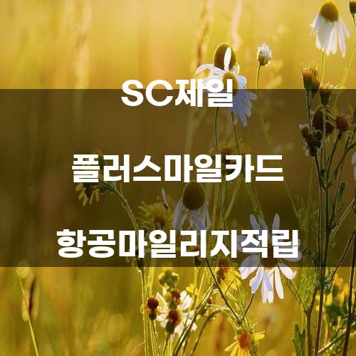 SC제일 플러스마일카드 항공마일리지적립