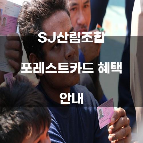 SJ산림조합 포레스트카드 혜택 안내