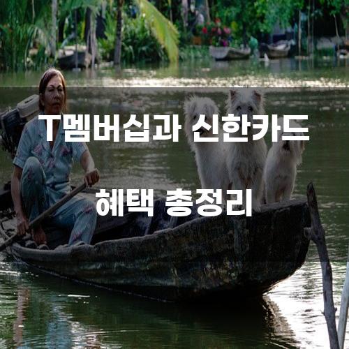 T멤버십과 신한카드 혜택 총정리