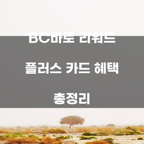 BC바로 리워드 플러스 카드 혜택 총정리