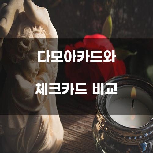 다모아카드와 체크카드 비교