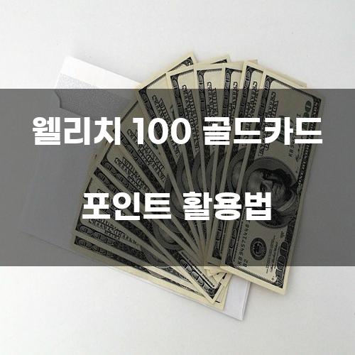 웰리치 100 골드카드 포인트 활용법