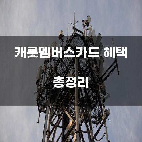 캐롯멤버스카드 혜택 총정리