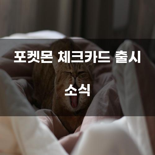 포켓몬 체크카드 출시 소식