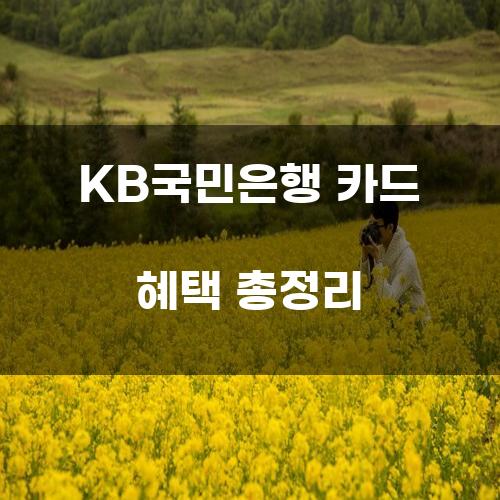 KB국민은행 카드 혜택 총정리