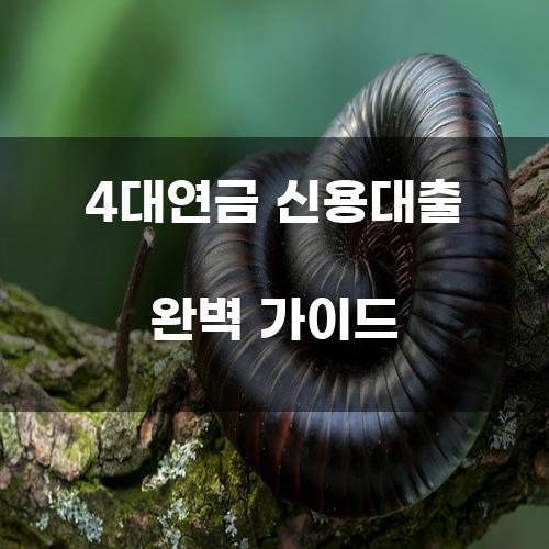 4대연금 신용대출 완벽 가이드