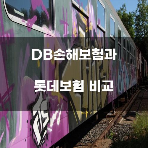 DB손해보험과 롯데보험 비교