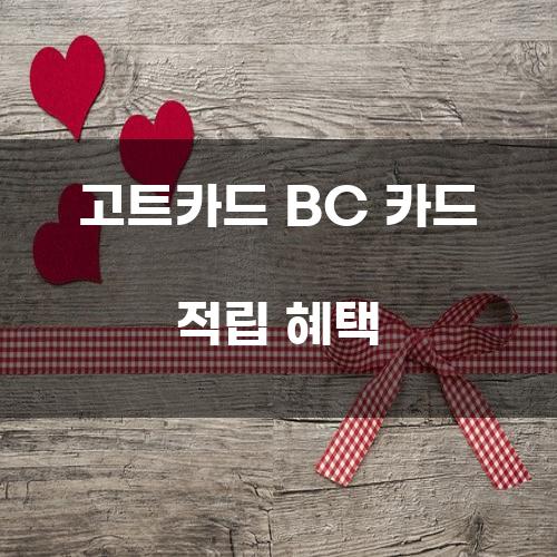 고트카드 BC 카드 적립 혜택