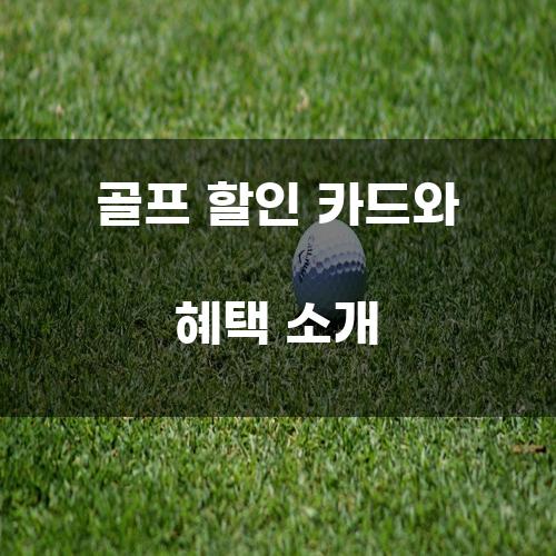 골프 할인 카드와 혜택 소개