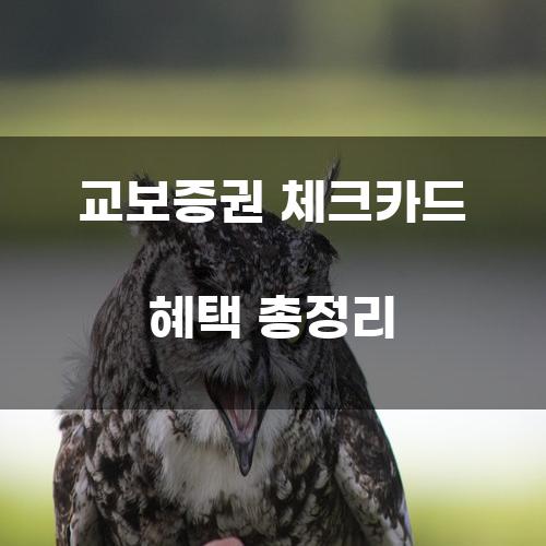 교보증권 체크카드 혜택 총정리