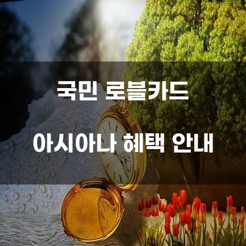 국민 로블카드 아시아나 혜택 안내