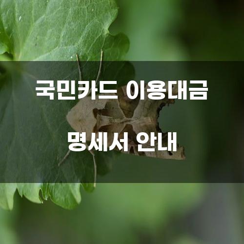 국민카드 이용대금 명세서 안내