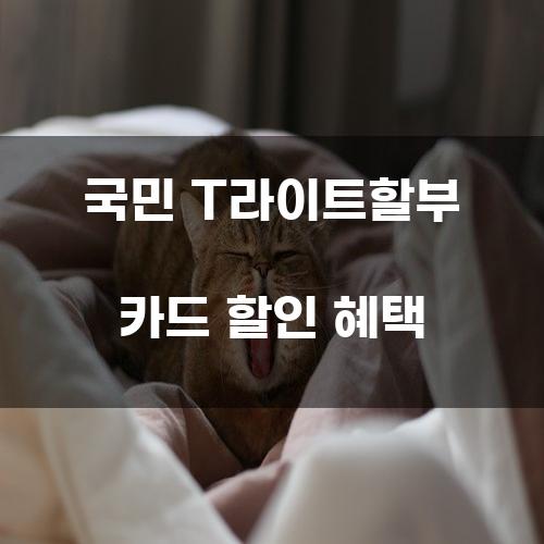 국민 T라이트할부 카드 할인 혜택