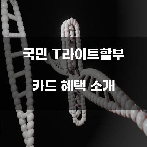 국민 T라이트할부 카드 혜택 소개