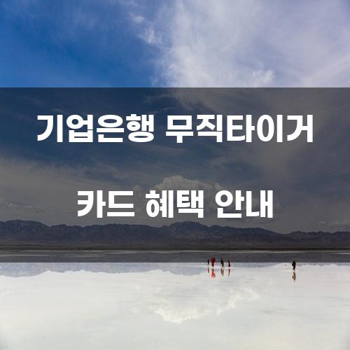 기업은행 무직타이거 카드 혜택 안내