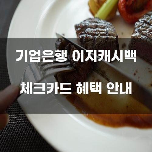 기업은행 이지캐시백 체크카드 혜택 안내