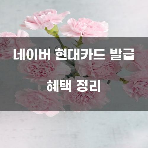 네이버 현대카드 발급 혜택 정리