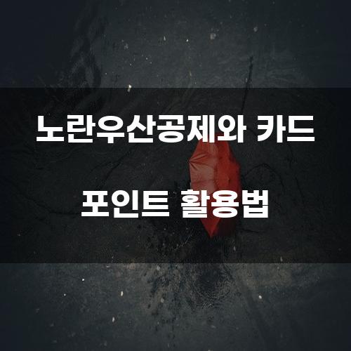 노란우산공제와 카드 포인트 활용법