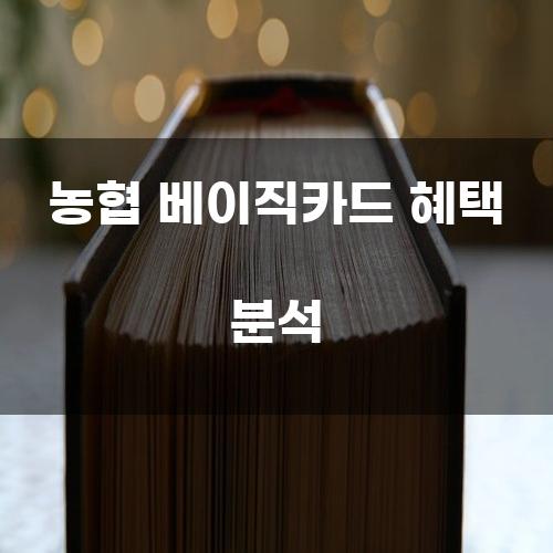 농협 베이직카드 혜택 분석