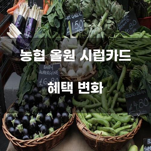 농협 올원 시럽카드 혜택 변화